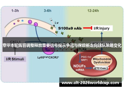 意甲本轮阵容调整释放重要信号揭示争冠与保级新走向球队策略变化